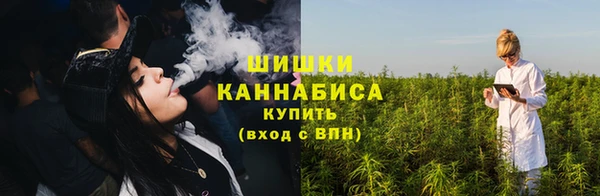 индика Заволжье