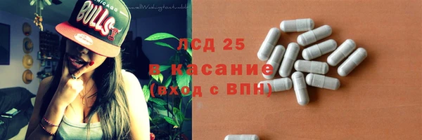 индика Заволжье
