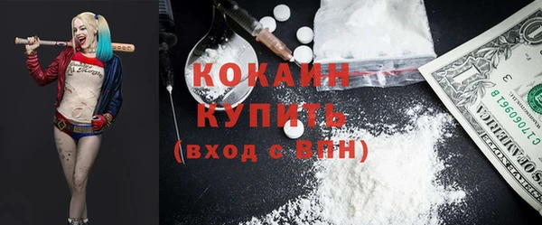 PSILOCYBIN Заводоуковск