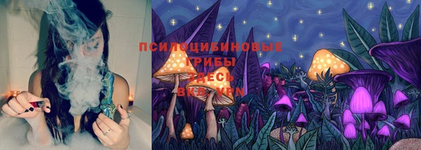 индика Заволжье