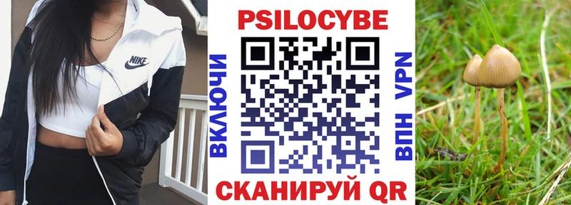 Псилоцибиновые грибы Cubensis  Купить  Олонец 