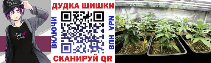 Купить  Олонец  Каннабис THC 21% 